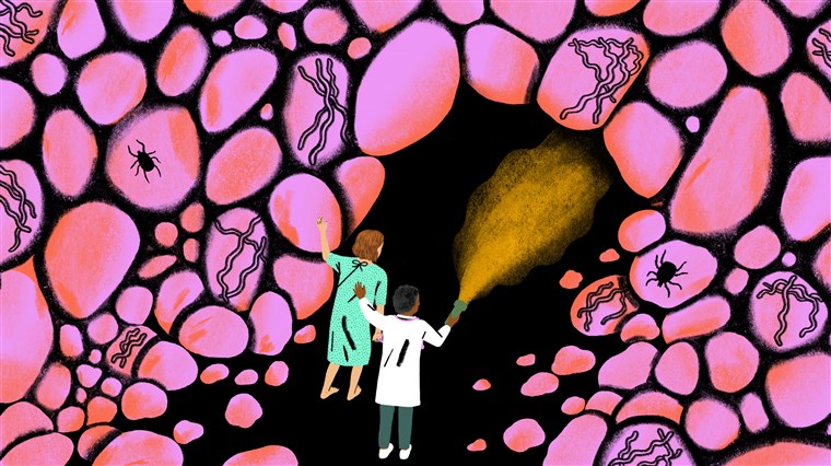 A doctor with a flashlight leading a patient into what looks like a cave composed of biological cells. 