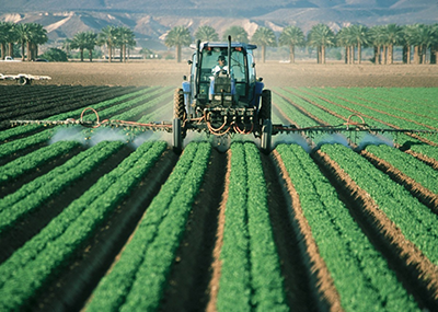 A farmer driving a tractor spraying plants.