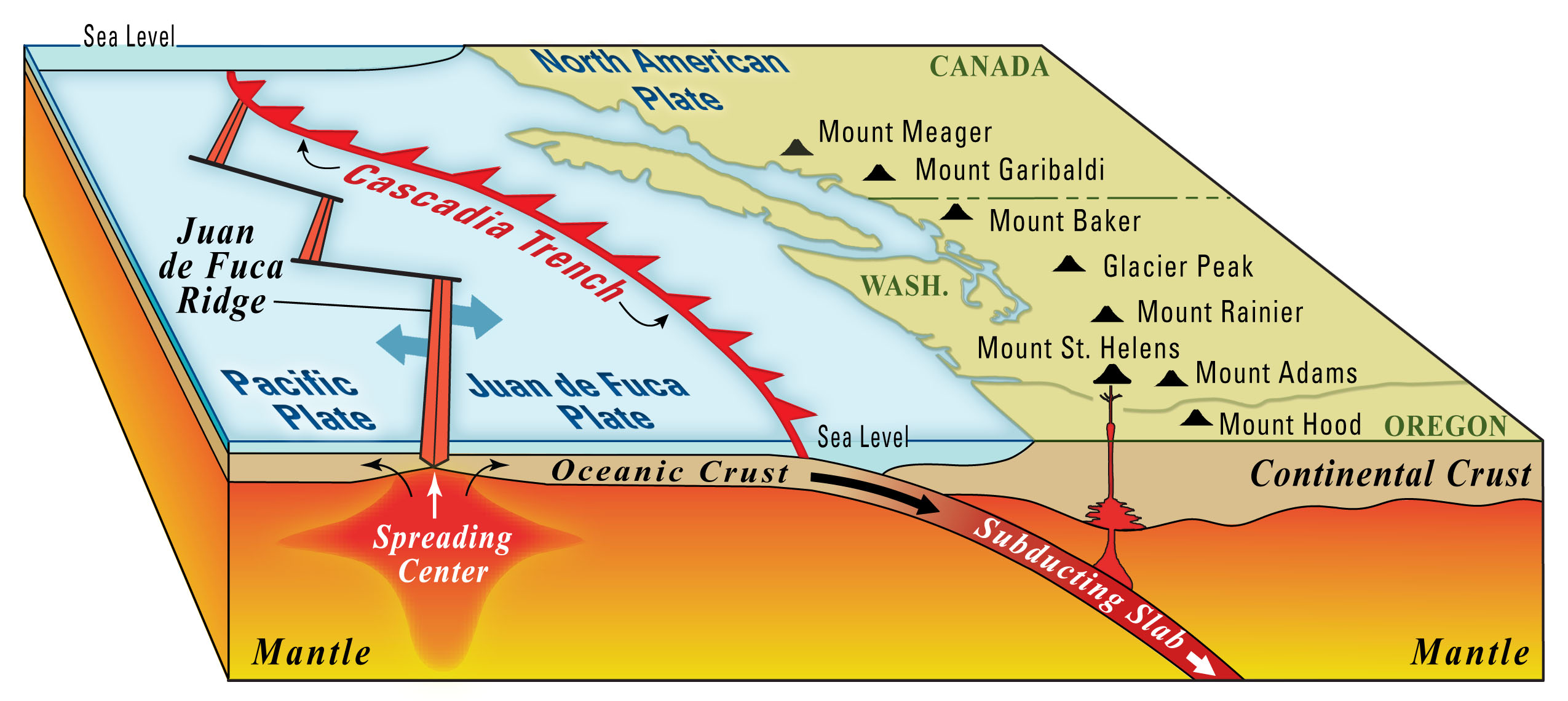 Cascadia_SZ