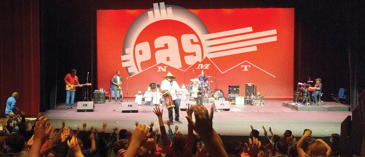 A picture from the crowd's view of a performance on the stage. The Performing Arts Series logo is prominent on the image.