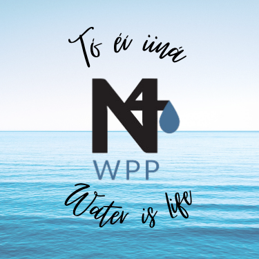 N4WPP Logo