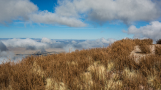 Image from the top of "M" Mountain, golden grasslands are in the image foreground and clouds are in the sky and background.