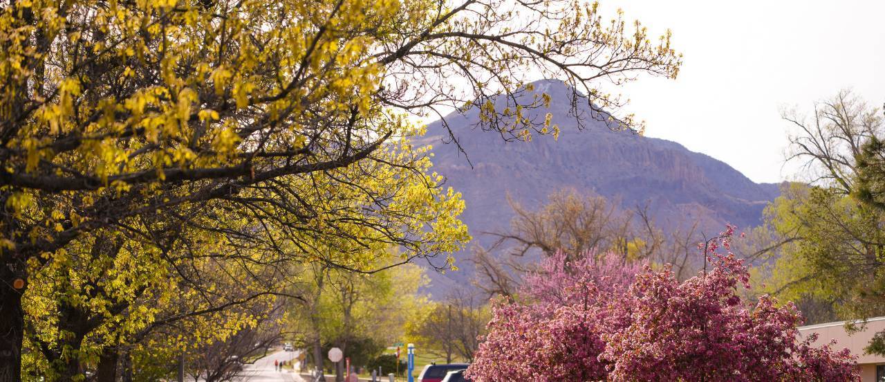 Student Accounts at New Mexico Tech