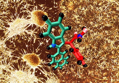 Biomedical Chemistry