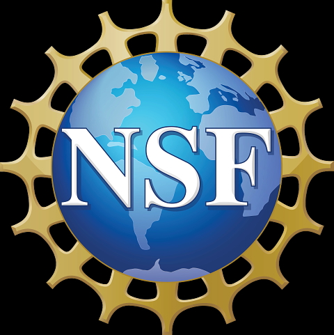NSF logo