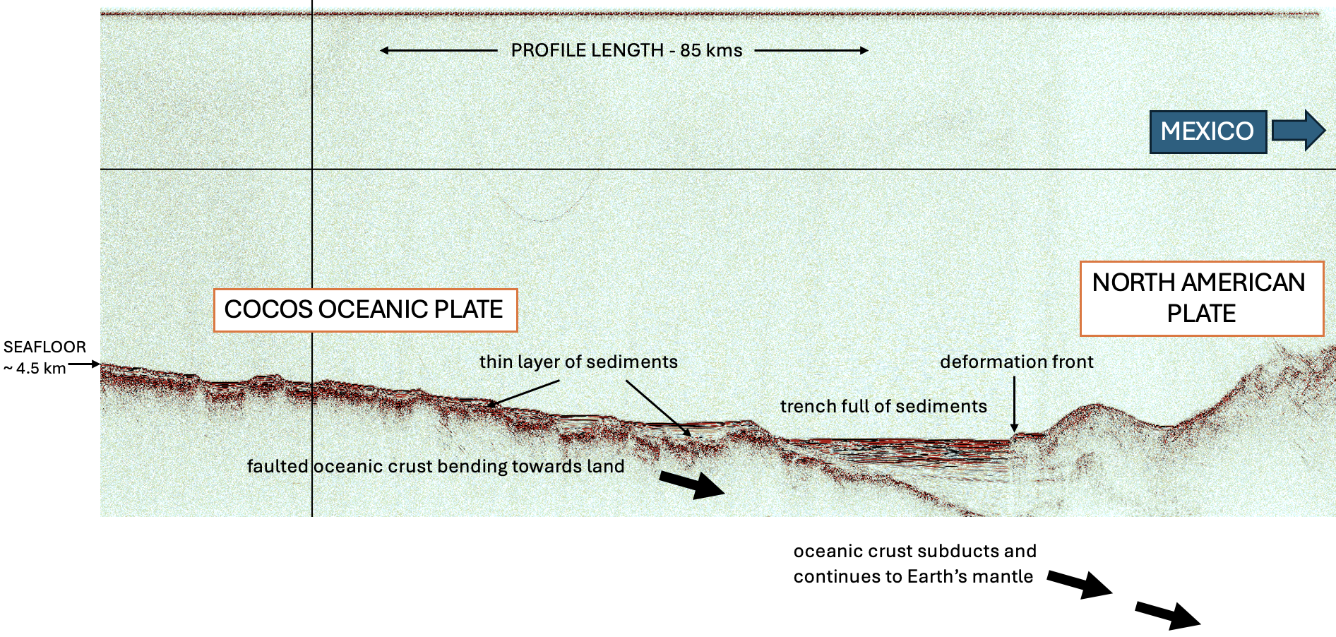 seismic profile