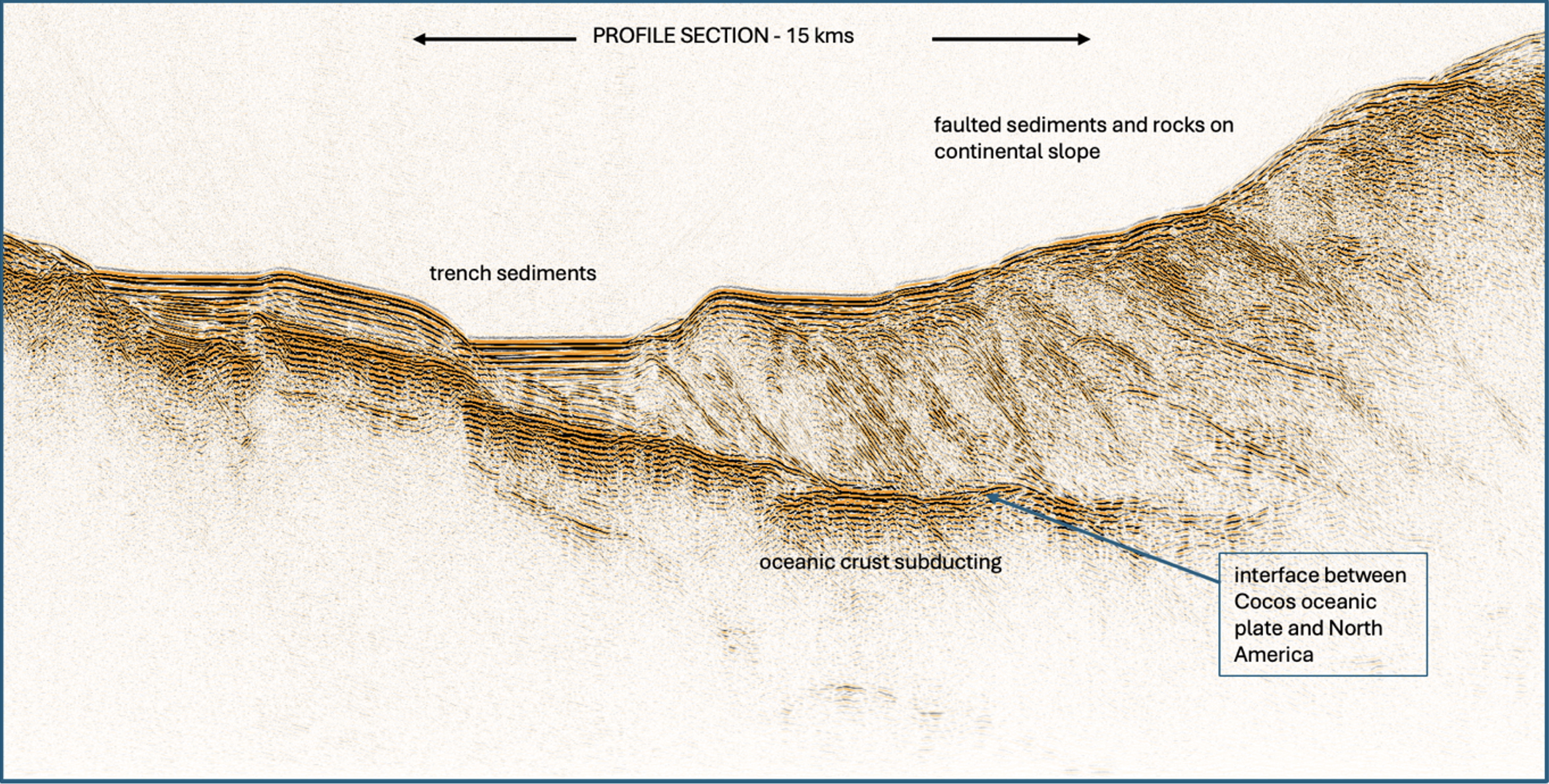 ProfileSection ProfileSection