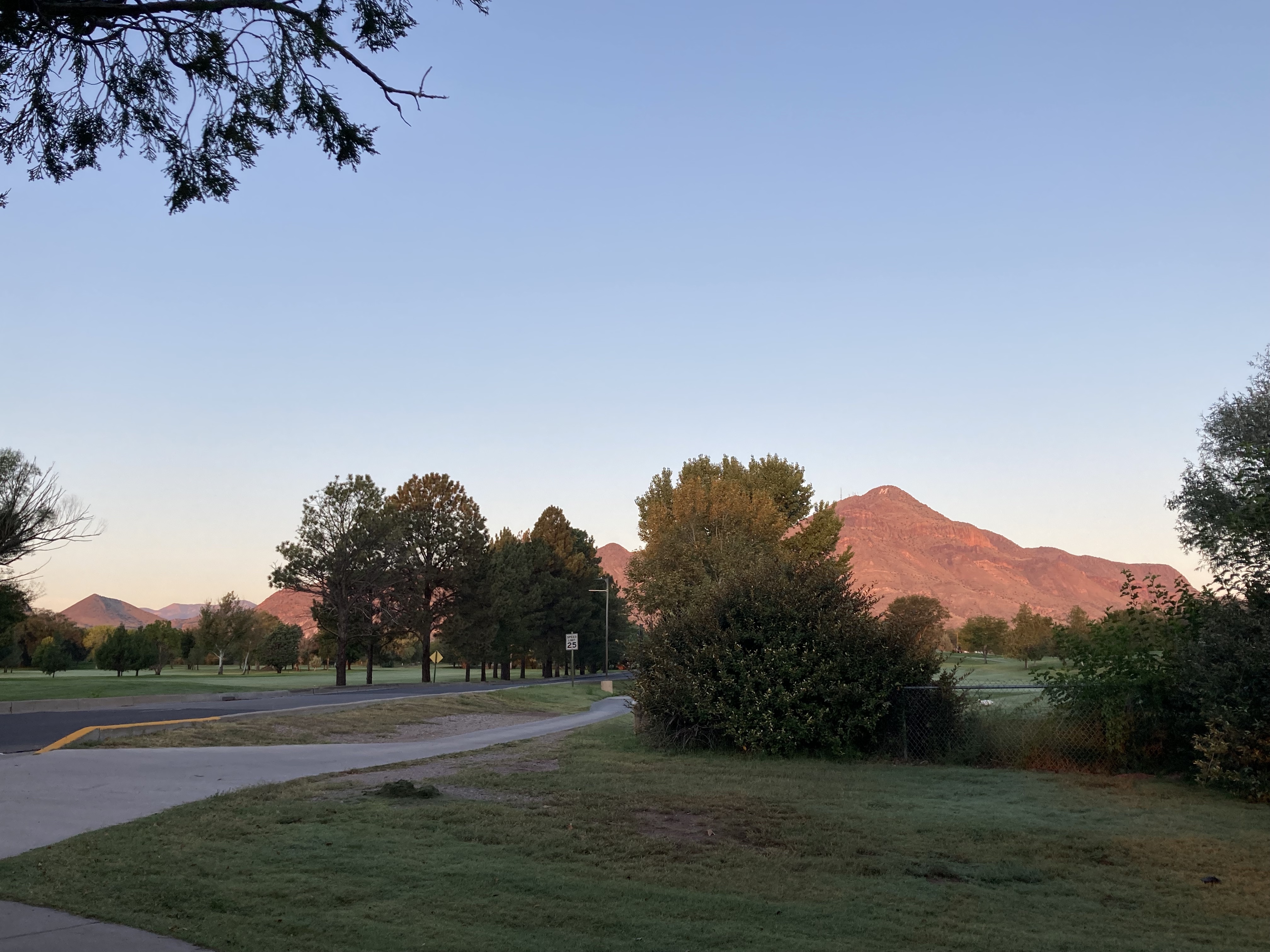 A mountain at sunrise with grass and trees in the foreground. 