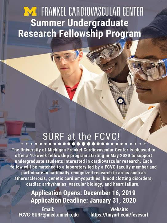 FCVC Summer Internship Information