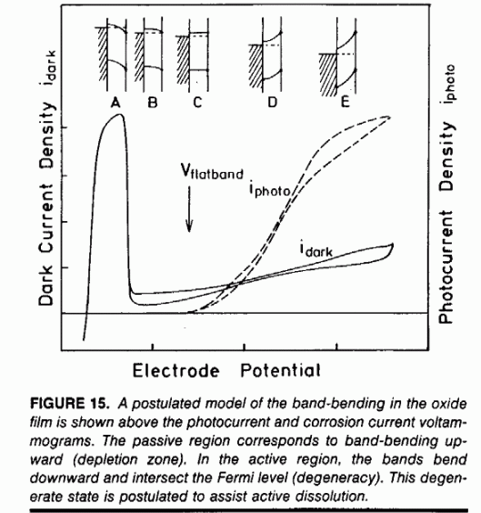 Semiconductor model of passive film