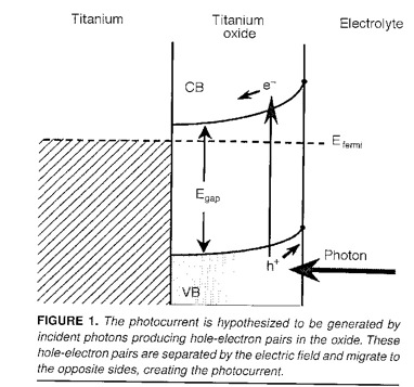 The photocurrents are result from light exciting electrons in the oxide film, in the presence of a Schottky barrier.