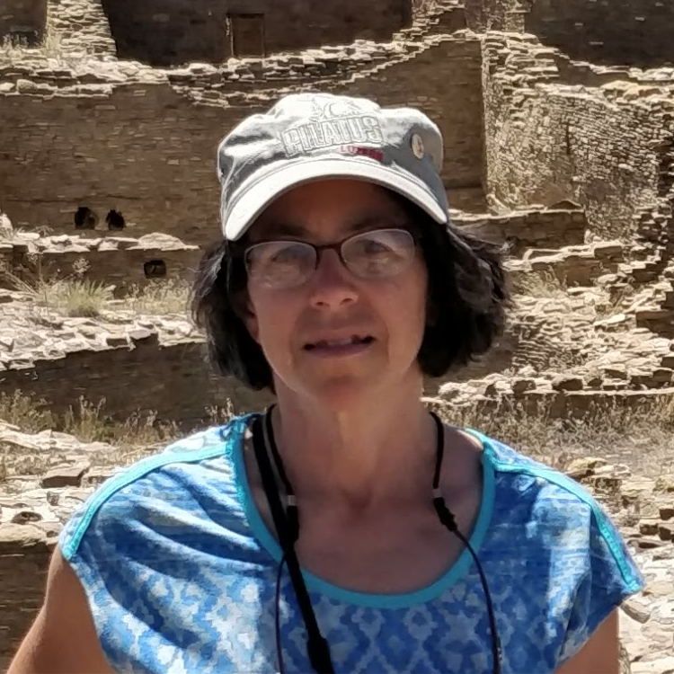 Dr. Gloria Manney Dr. Gloria Manney