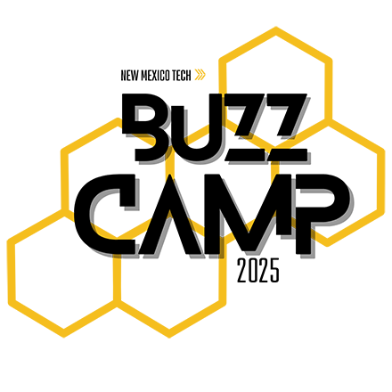 Buzzcamp 2025 logo