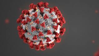 Recreation of what a coronavirus cell may look like. A grey cell with orange and red receptors sticking out.