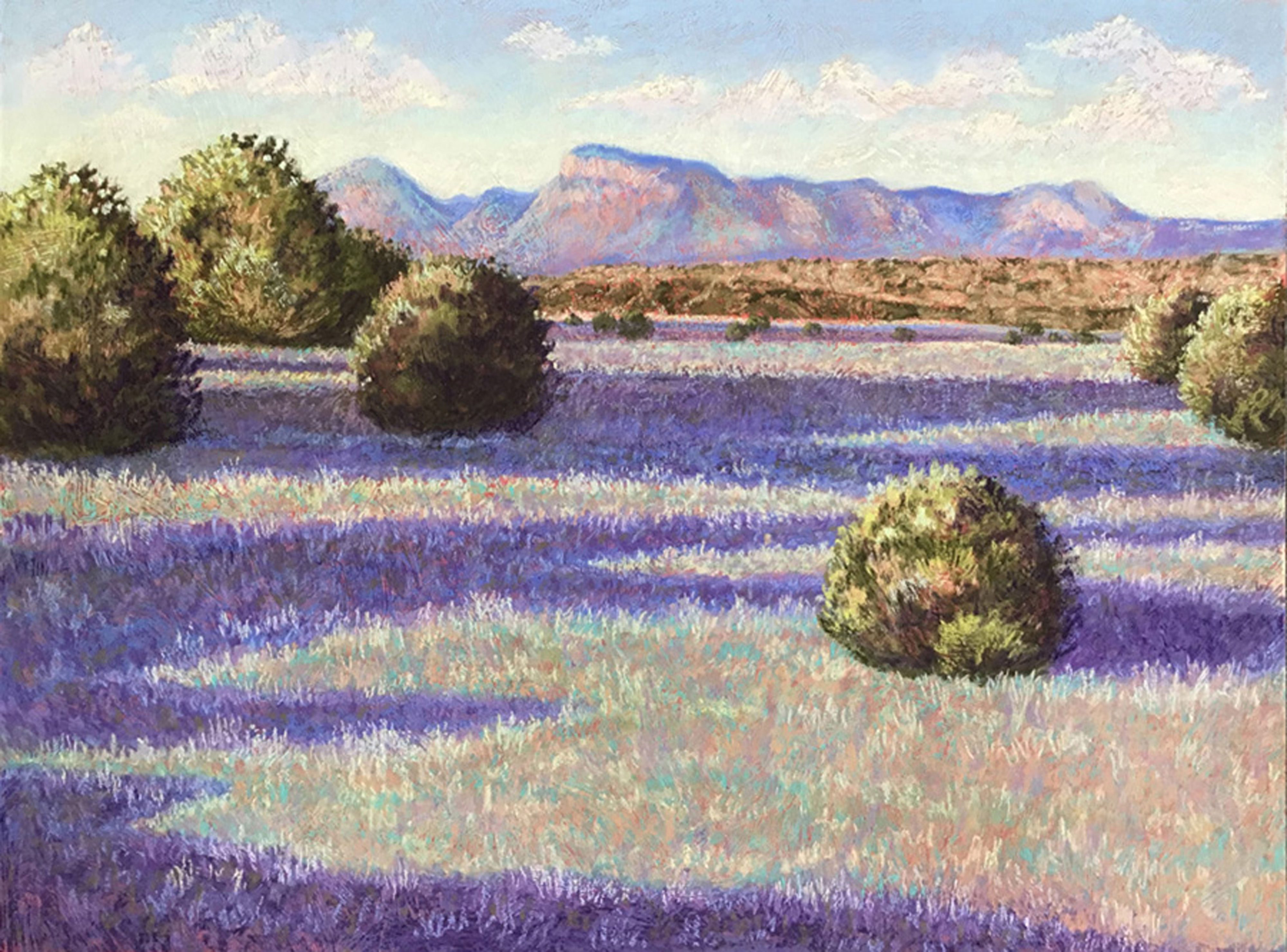 macey-center-art-gallery-schedule-new-mexico-tech