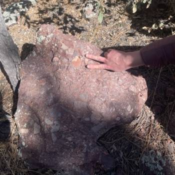 Close up image of a hand pointing out layers in a rock formation.