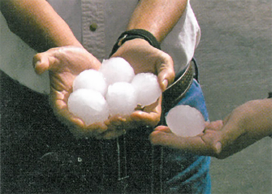 Two sets of hands hold significantly large hailstones.