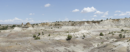 Rocks spanning extinction of the dinosaurs in the San Juan Basin of northwestern New Mexico. The drab colored rocks of the latest Cretaceous Naashoibito Member are overlain by the earliest Paleocene Ojo Alamo Sandstone in the De-Na-Zin Wilderness Area.