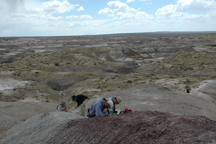 Daniel Peppe, Utanah Denetclaw, Anne Weil, & Blake Gorman collecting paleomagnetic samples from the latest Cretaceous Naashoibito Member in the De-Na-Zin Wilderness area of the San Juan Basin in northwestern New Mexico.