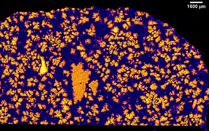 An X-ray image of NWA 12774. Credit: Aaron Bell/CU Boulder