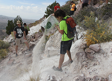 Students dump marble dust on the M i