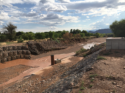 Kyle Stark's research area with M Mountain in the background