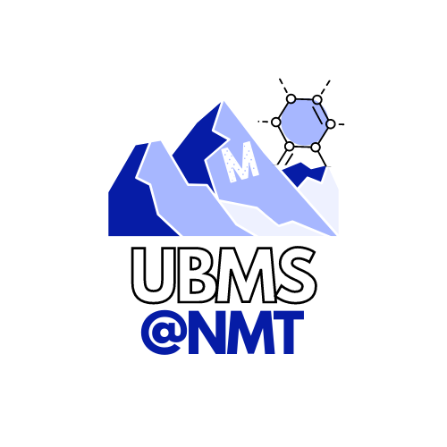 UBMS Logo
