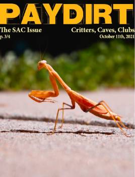 Fall 2021 Cover Photo 4