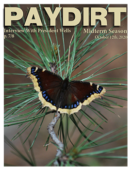 Paydirt Fall 2020 Issue 4 cover image