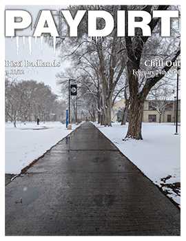 Paydirt Spring 2020 Vol. 3 cover image