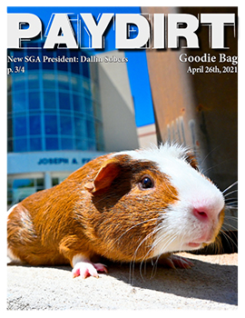 Paydirt Spring 2021, Vol. 07 cover image