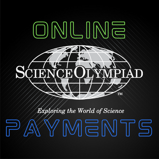 Online Payments
